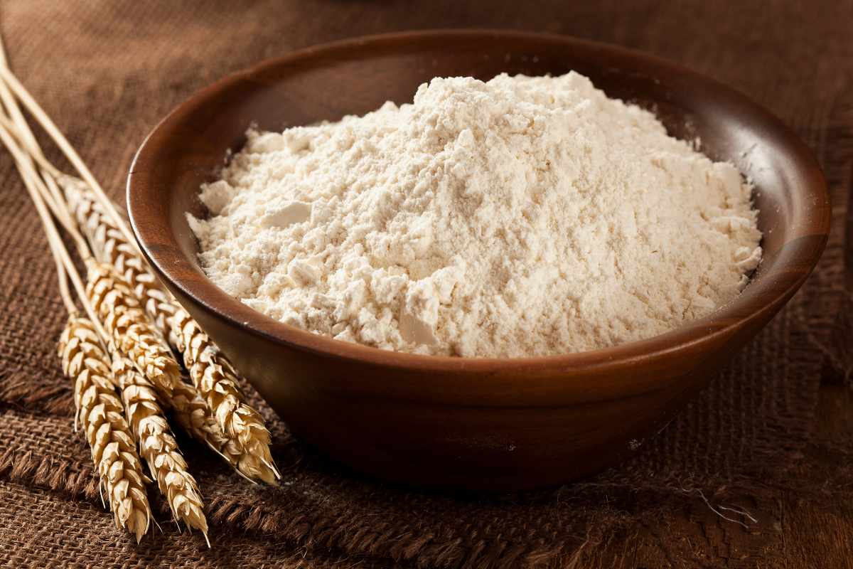 Wheat flour in a bowl and a spoon.