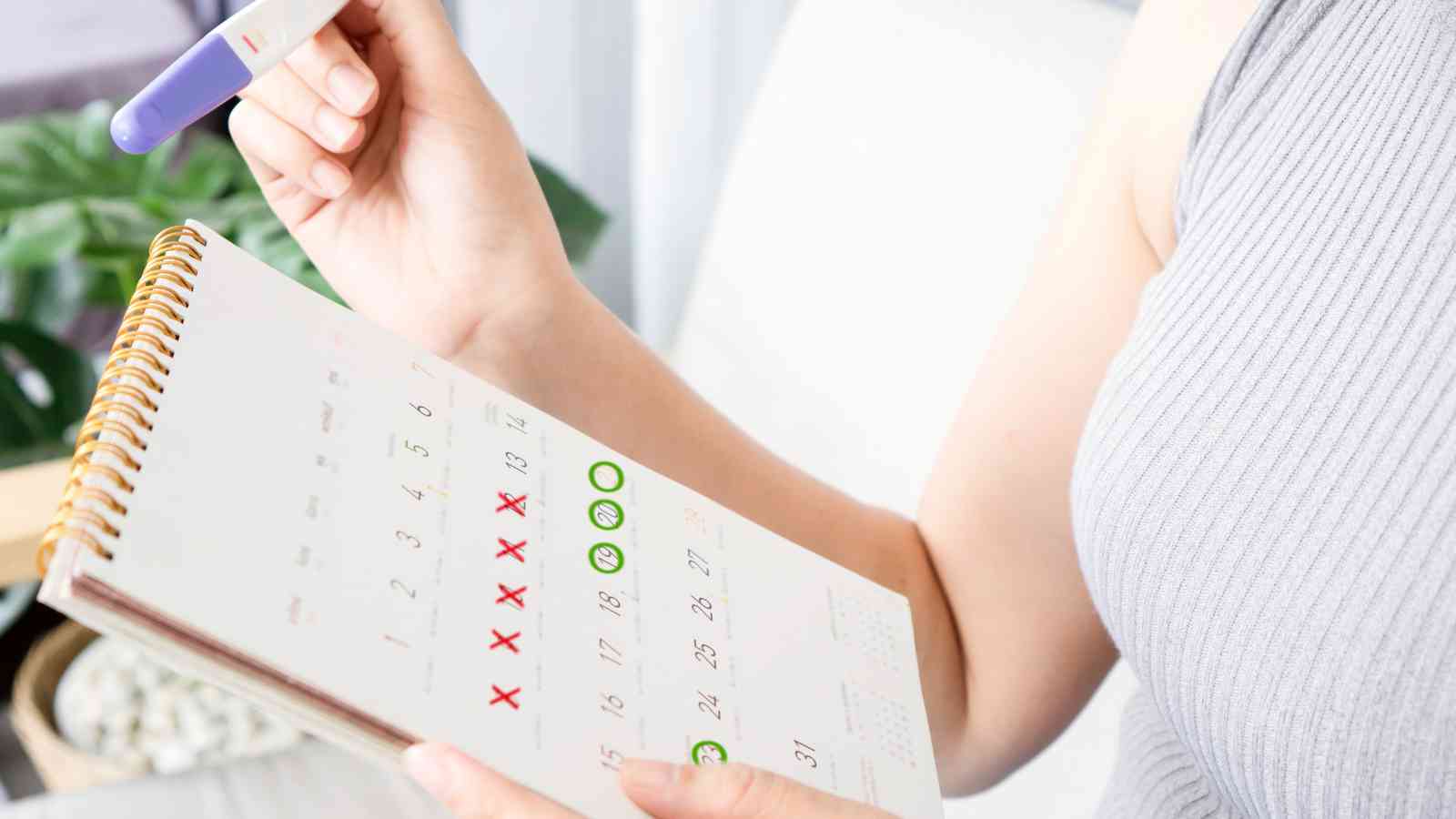 A person holding a pregnancy test and a calendar with red X marks and green circles on certain dates.