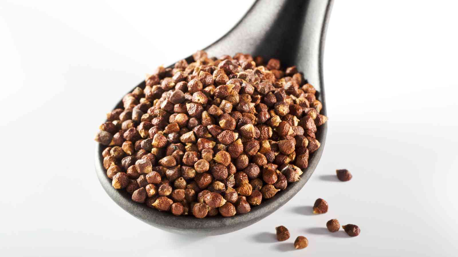 A black spoon filled with grains of paradise on a white background.