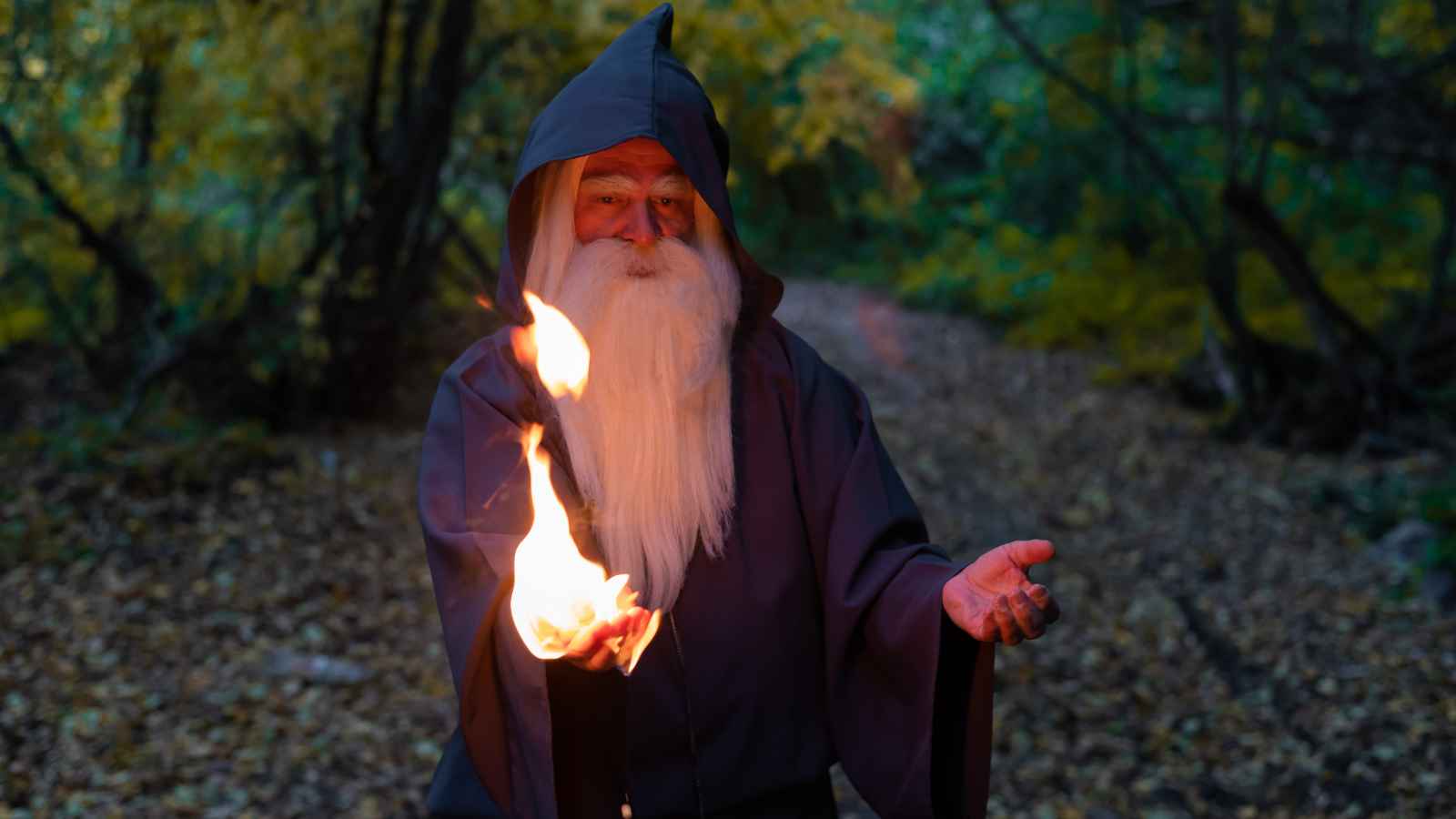 A person dressed as a wizard with a long white beard holds a flame in one hand while standing on a forest path.