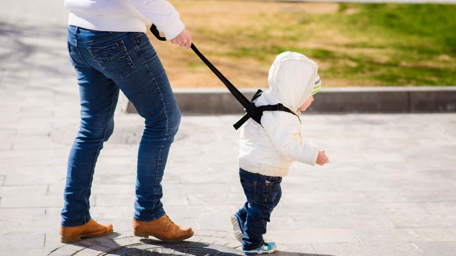 Adult holding a harness leash attached to a toddler walking outdoors on a paved path.