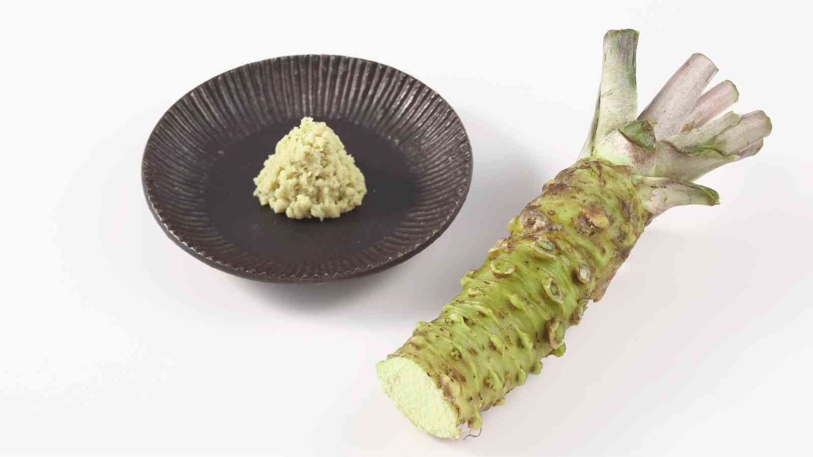 A whole wasabi root lies next to a small mound of freshly grated wasabi on a dark round plate against a white background.