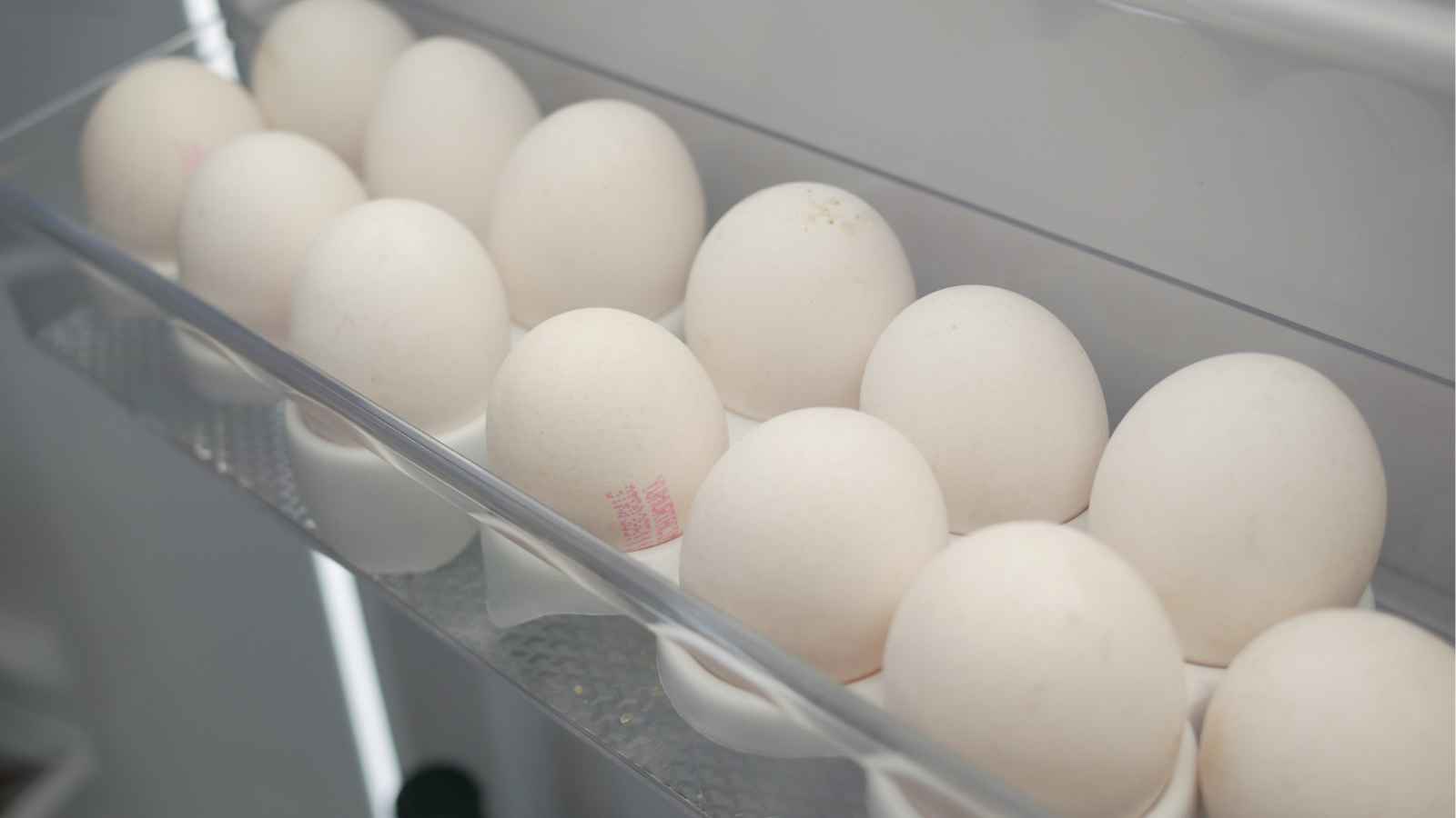 A row of white eggs is arranged in a plastic holder inside a refrigerator door.