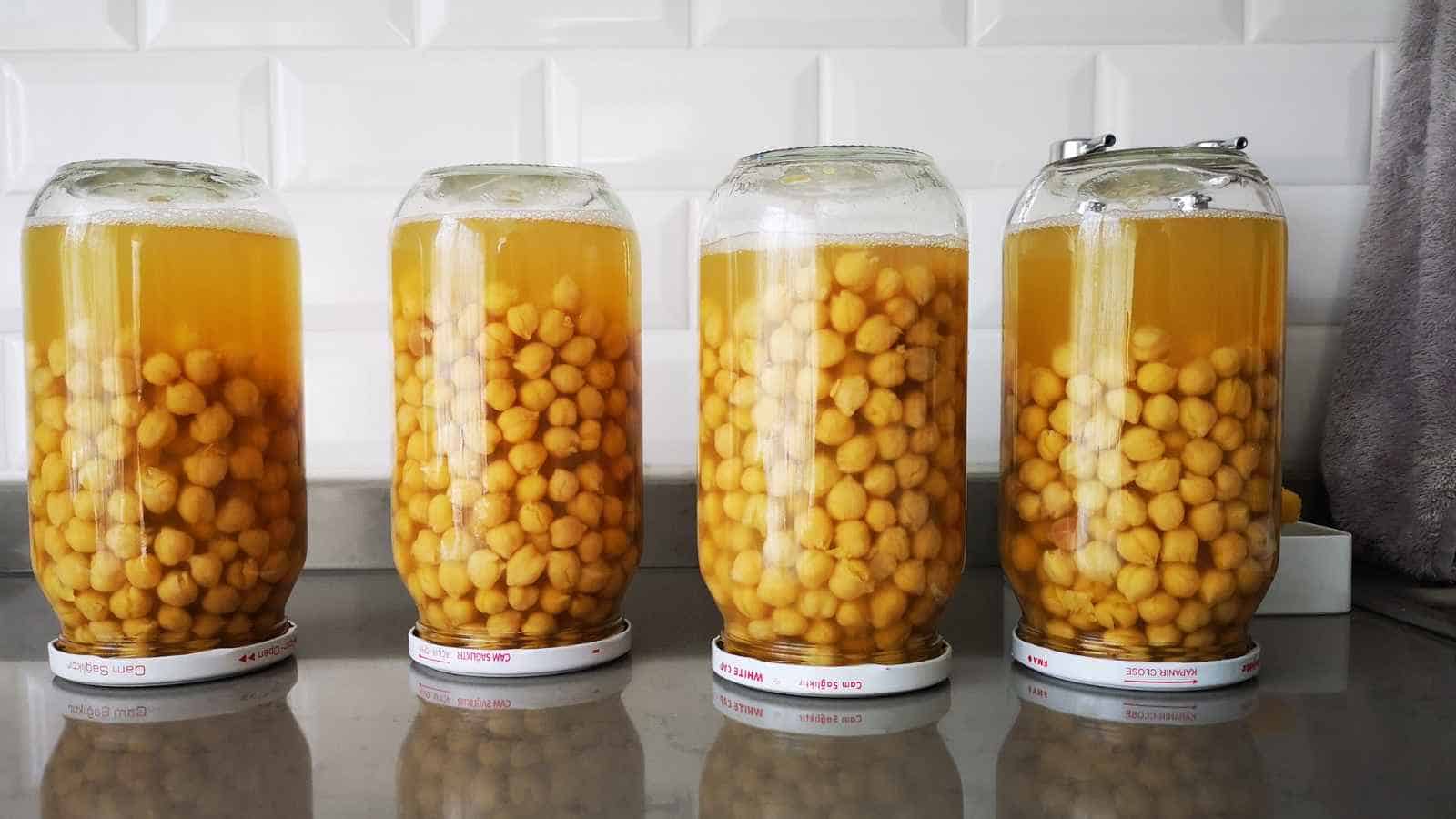 Four large glass jars filled with yellow chickpeas soaking in liquid are placed upside down on a gray countertop against a white tiled background.
