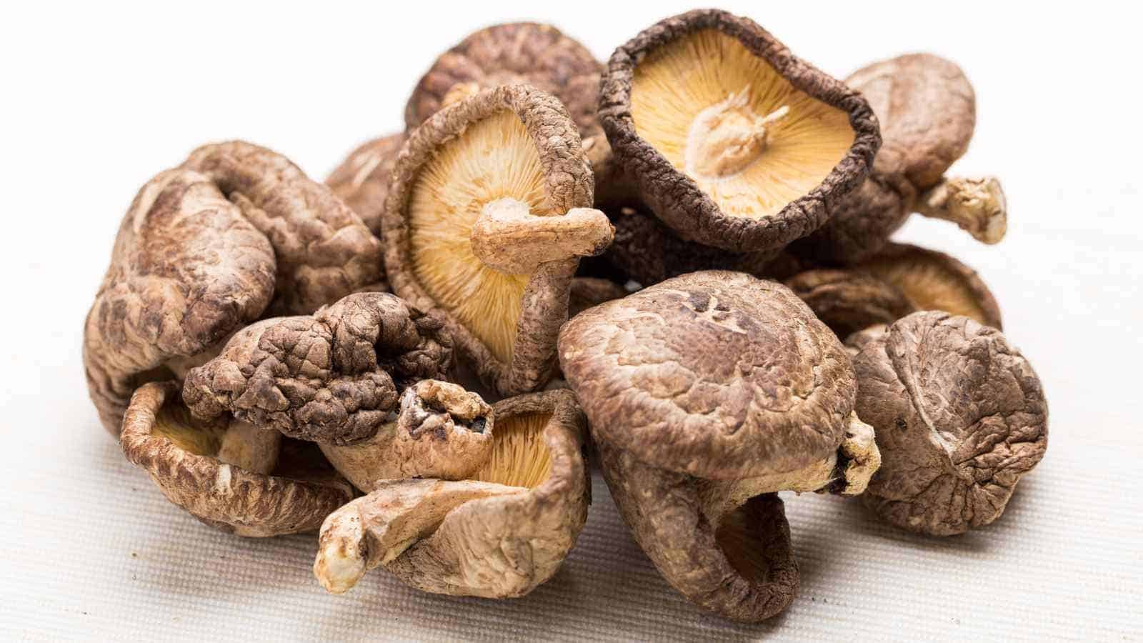 A pile of dried shiitake mushrooms on a white surface.
