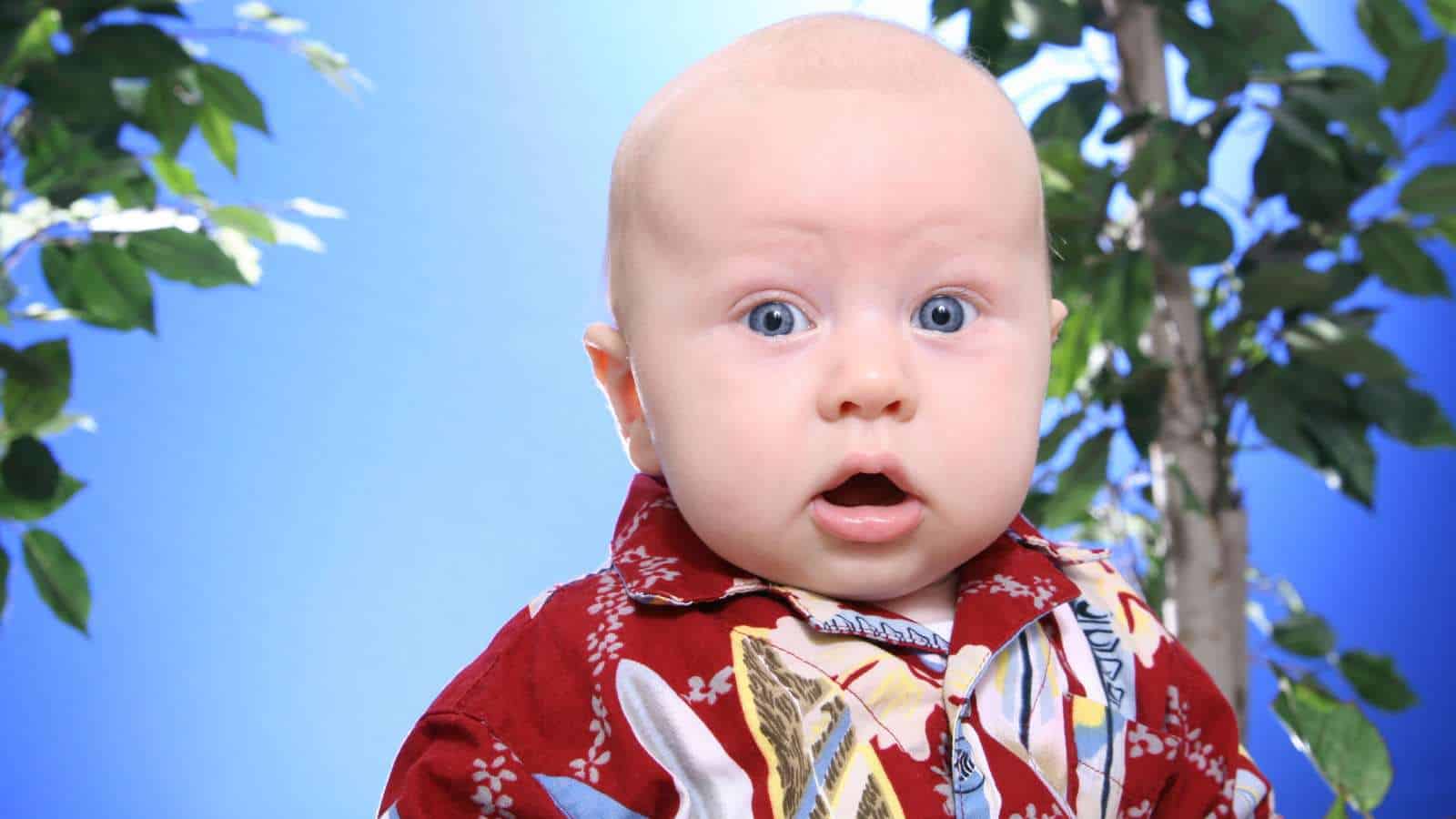 A baby with blue eyes and a surprised expression wears a red patterned shirt, evoking the charm of Hawaiian boy names, with green-leaved branches and a blue background behind.