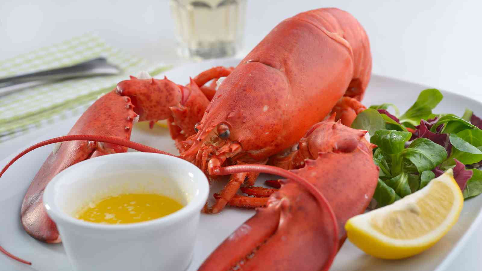 A whole cooked lobster is served on a plate with a side of mixed greens, a lemon wedge, and a small dish of melted butter.