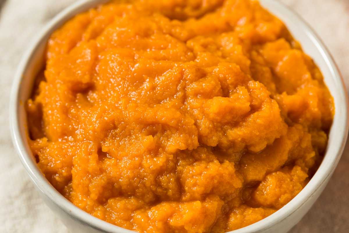 A white bowl filled with smooth, orange pumpkin puree.