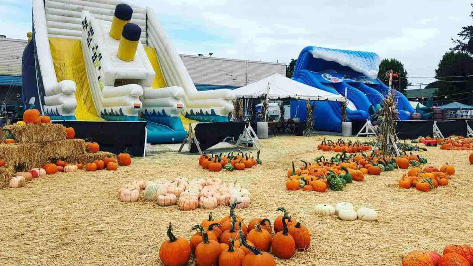 A pumpkin patch with various pumpkins and gourds on straw, hay bales, and two large inflatable slides in the background.