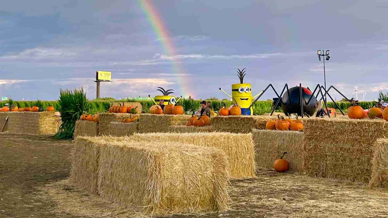 Hay bales and pumpkins arranged in a field with large spider and yellow character decorations; a rainbow is visible in the cloudy sky.