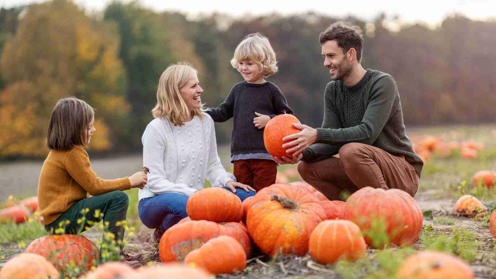 A family of four sits and kneels around large pumpkins in a pumpkin patch on a cloudy day, surrounded by fields and trees.