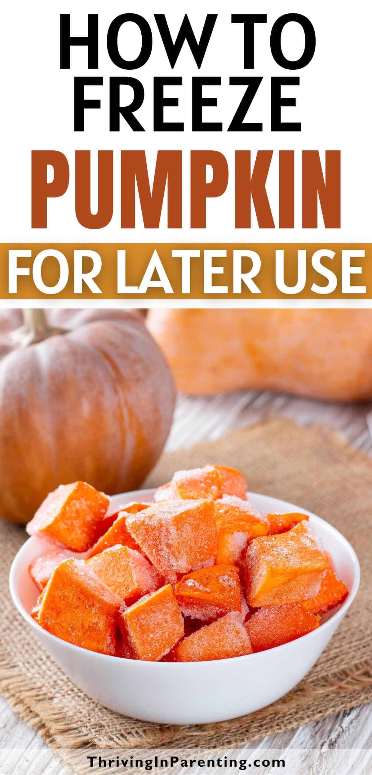 Pin image of how to freeze pumpkin syndicated blog post.