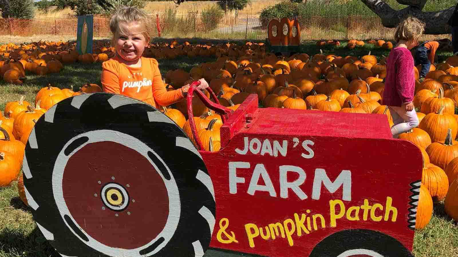 A young child sits on a red tractor cutout labeled "Joan's Farm & Pumpkin Patch," surrounded by pumpkins in an outdoor pumpkin patch.