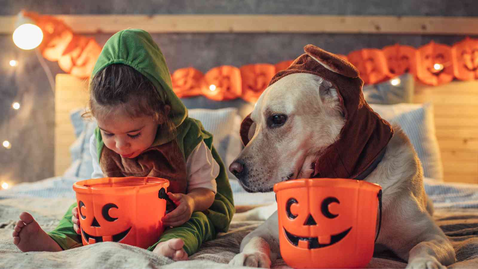 A child and dog in clothing.