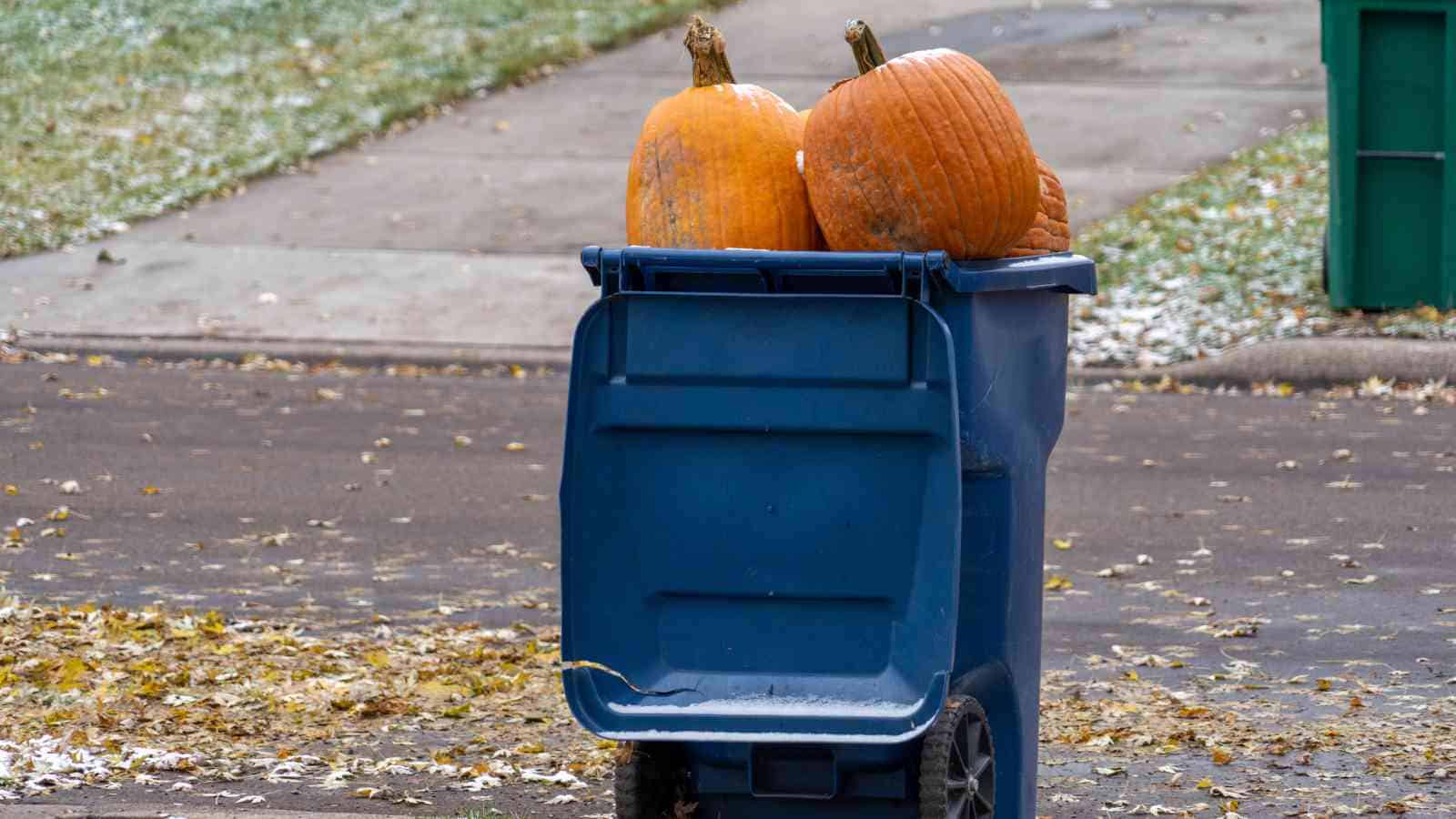 Two carved pumpkins are placed inside a blue recycling bin on the street, with fallen leaves and light snow visible on the ground.