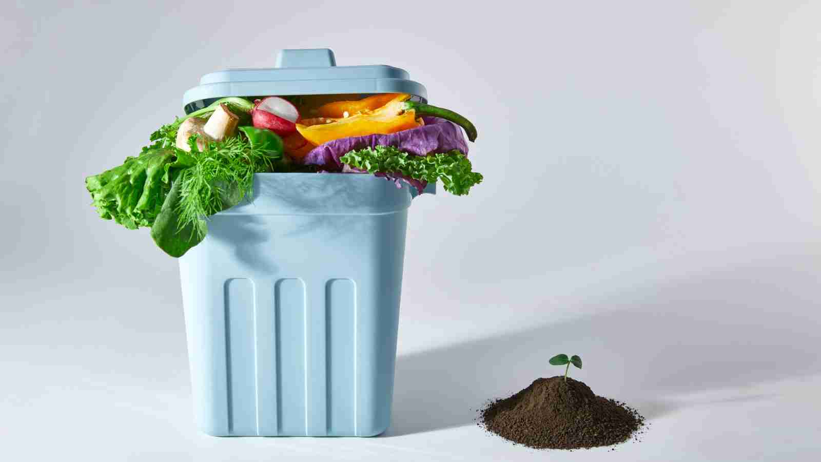A blue bin filled with assorted vegetable scraps sits next to a small pile of soil with a green seedling sprouting from it, against a plain background.