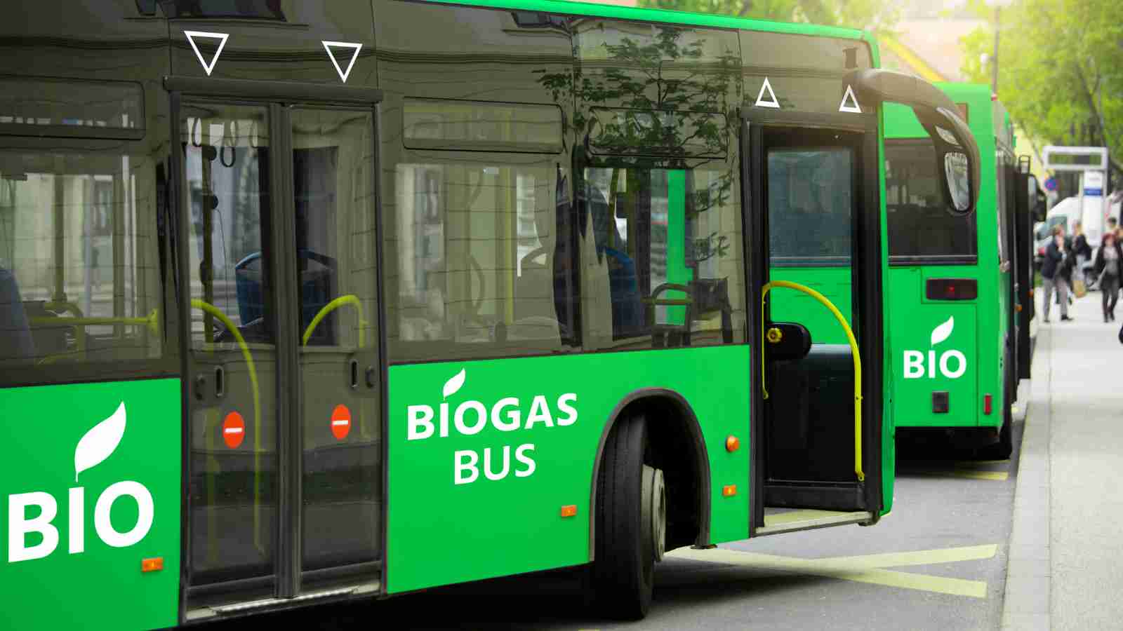 Two green biogas-powered buses are parked at a bus stop with doors open; people are visible in the background walking on the sidewalk.