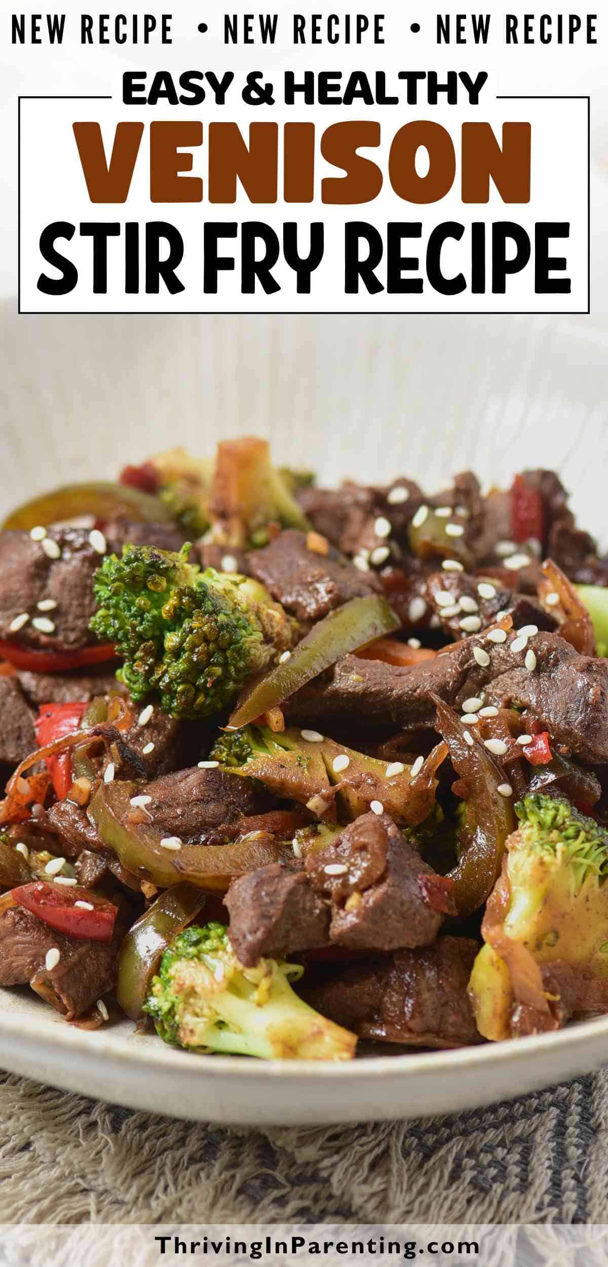 Pin image of venison stir fry recipe blog post.
