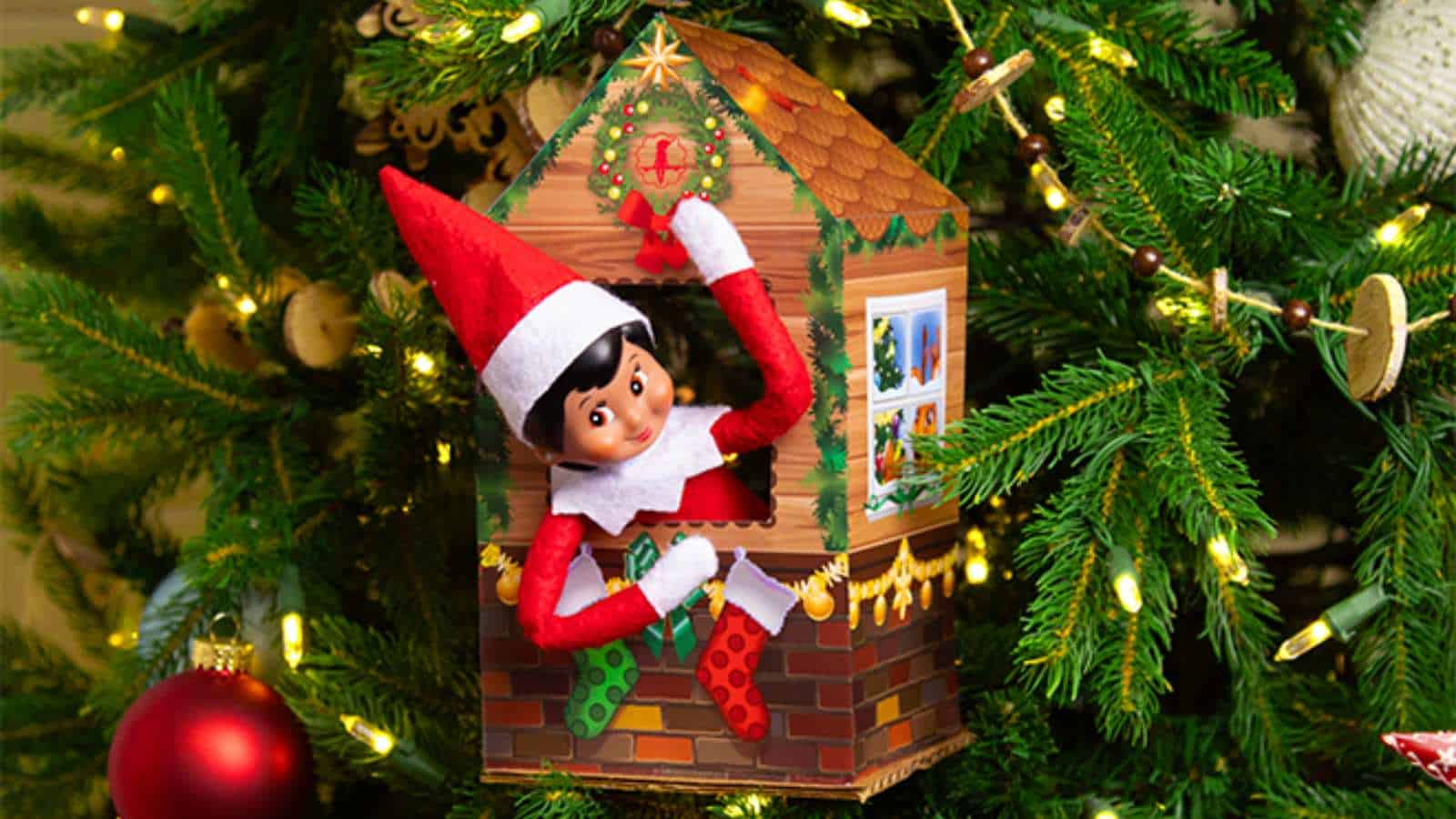 A Christmas elf doll sits inside a small house ornament on a decorated Christmas tree with lights and ornaments.