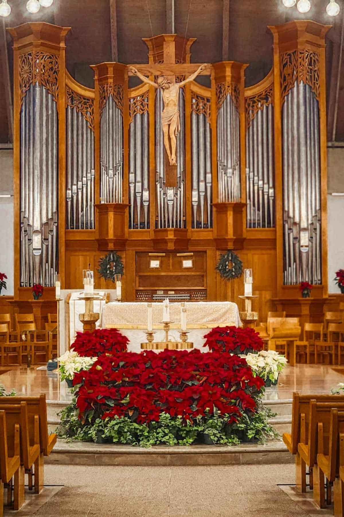 A church altar decorated with red and white poinsettias, in front of a large pipe organ and a crucifix, surrounded by wooden pews.