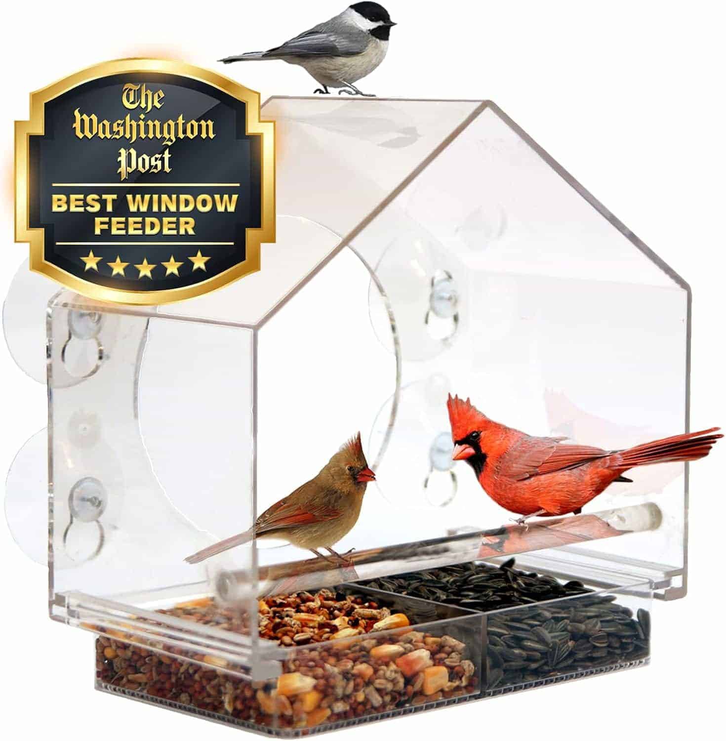 Clear acrylic window bird feeder with two compartments of seeds, two birds inside, and a chickadee on top. "The Washington Post Best Window Feeder" badge displayed on the left.