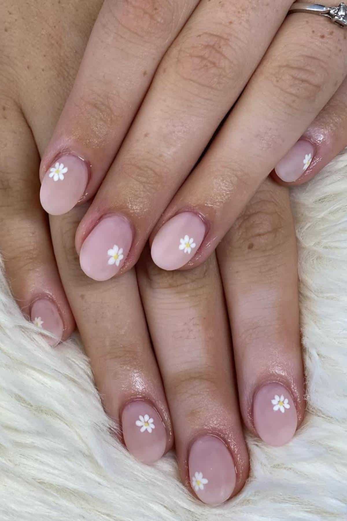 Close-up of hands with short, natural-shaped nails painted light pink and decorated with small white daisy flower designs on each nail.