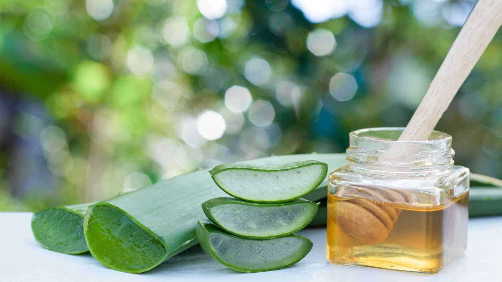 Sliced aloe vera leaves are arranged next to a small glass jar of honey with a wooden dipper outdoors, with blurred greenery in the background.