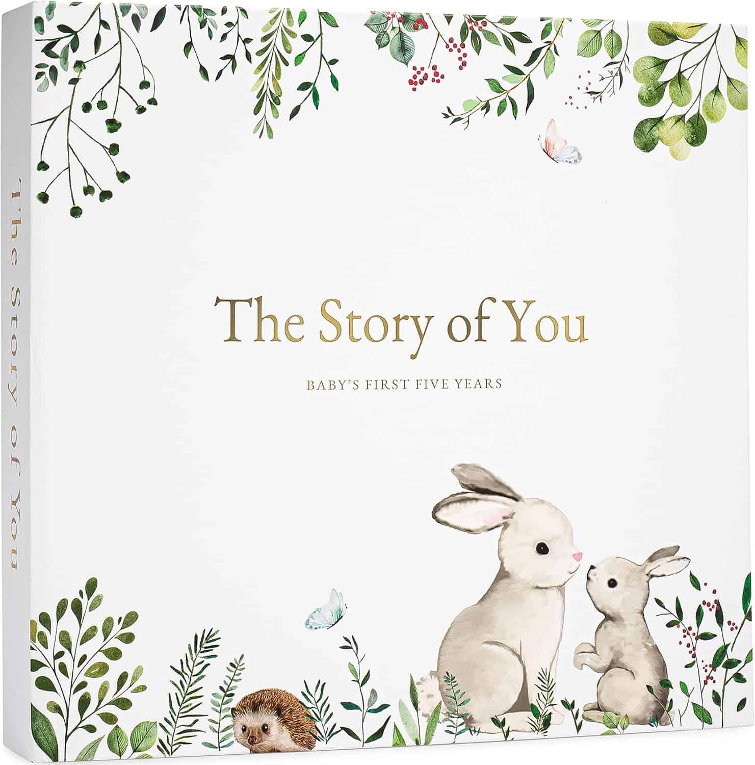 Square book cover titled "The Story of You: Baby's First Five Years" with illustrations of rabbits, a hedgehog, greenery, and butterflies on a white background.