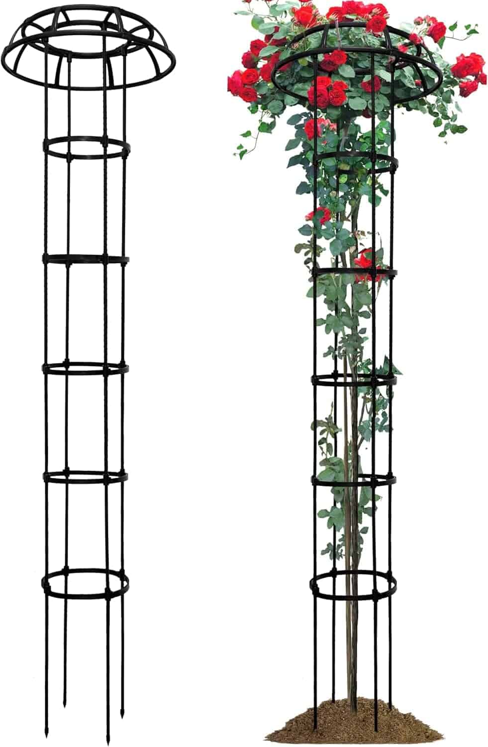 Two tall black metal garden trellises shown side by side; one empty and one supporting a climbing rose plant with red flowers.