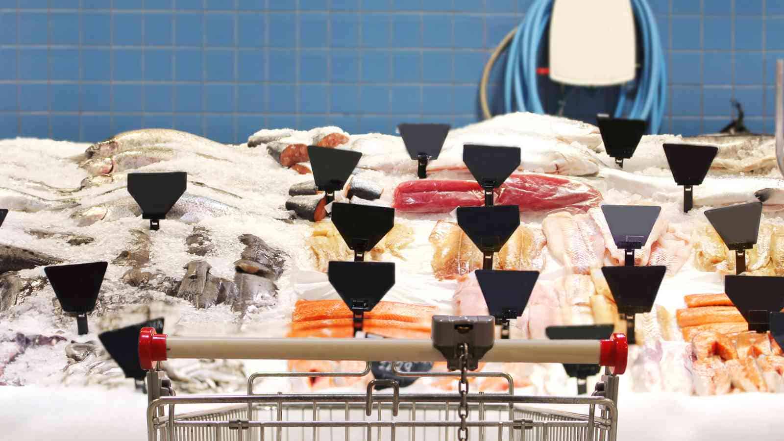 A grocery store seafood display with various fish and seafood on ice, empty price sign holders, and a shopping cart in the foreground.
