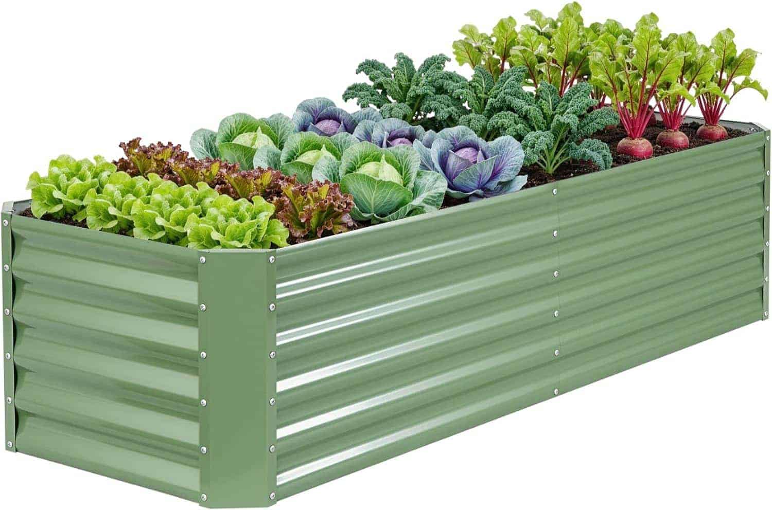 Rectangular green metal raised garden bed with rows of leafy vegetables, including lettuce, cabbage, kale, and beets, growing in soil.