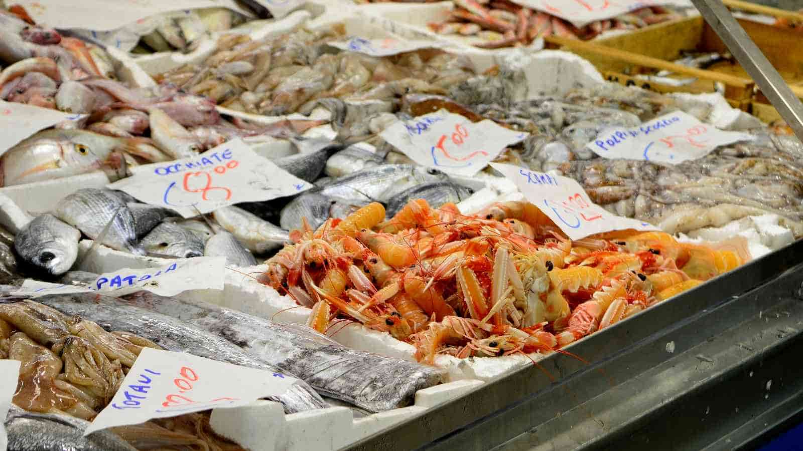 A variety of fresh seafood including fish, shrimp, and squid displayed on ice in white trays at a market, with handwritten price tags visible.