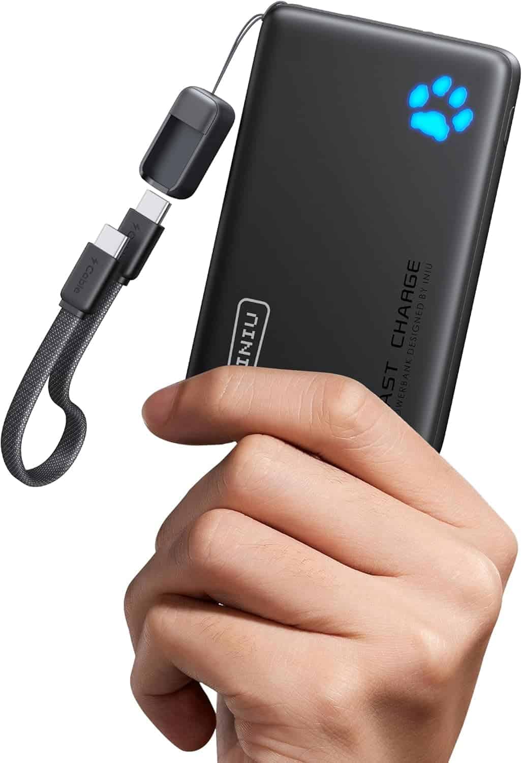 A hand holding a black portable power bank with a glowing blue paw print indicator, accompanied by a USB charging cable.