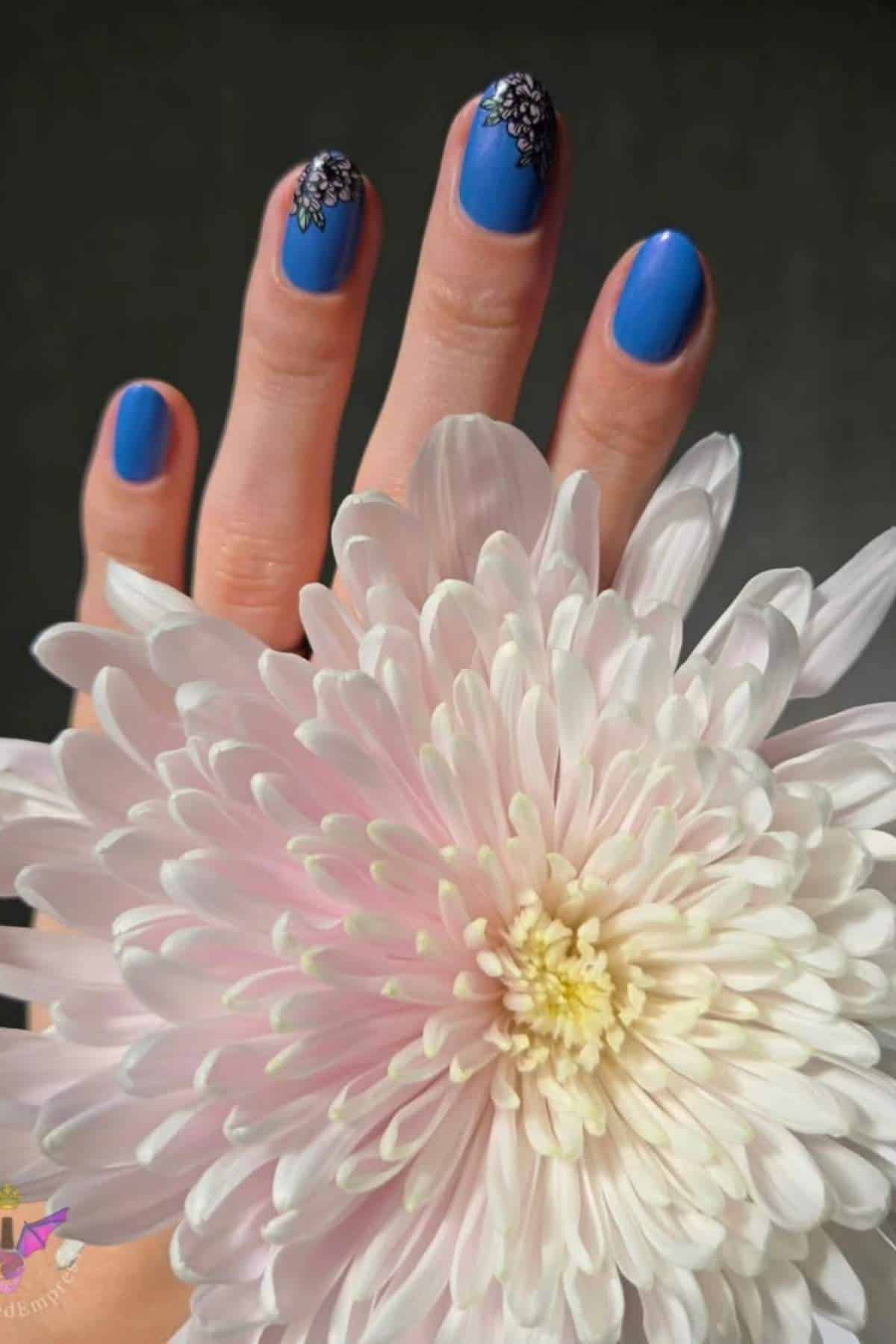 A hand with blue, floral-accented nails holds a large, pale pink chrysanthemum flower against a dark background.