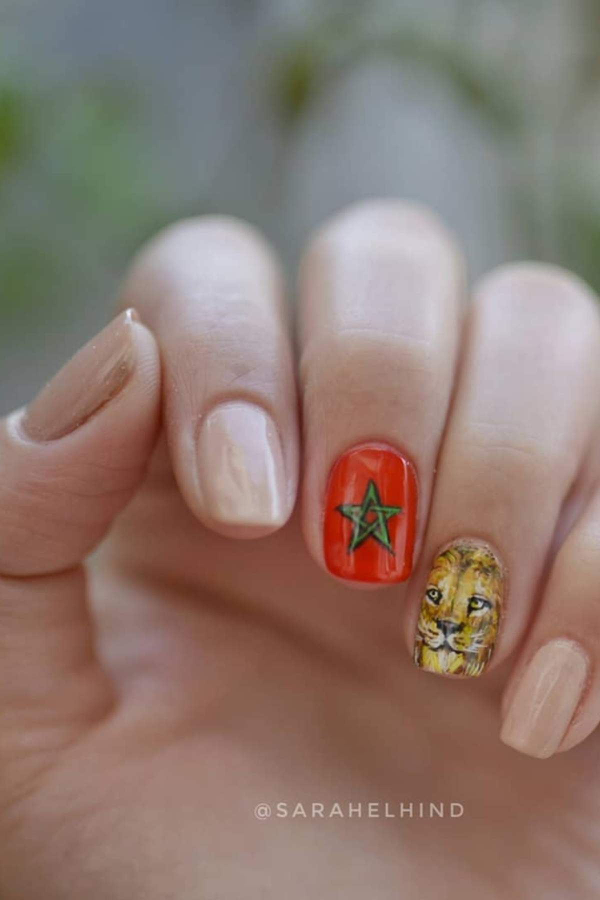 A hand with manicured nails; most nails are painted nude, while one features the Moroccan flag and another has a detailed lion illustration.