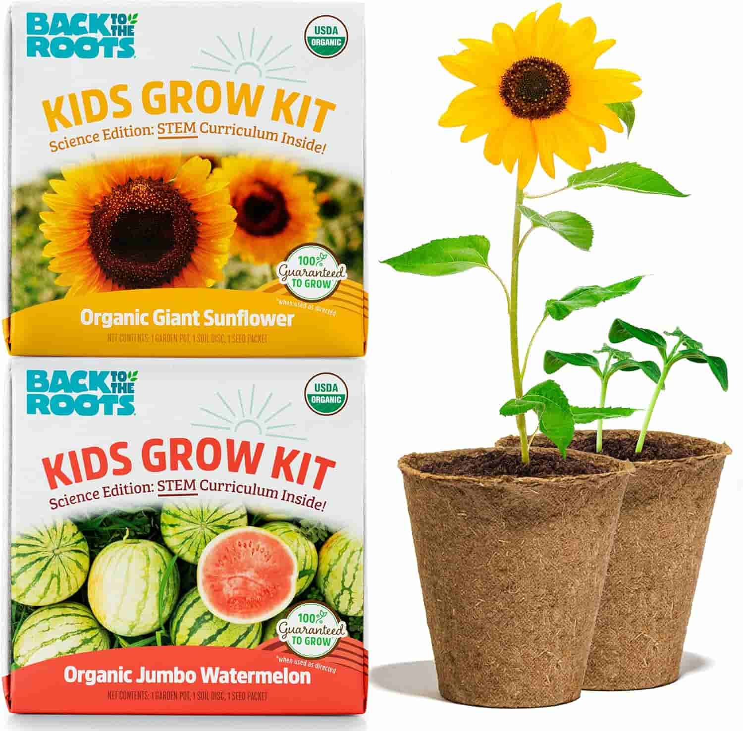 Two "Kids Grow Kit" boxes, one for giant sunflowers and one for jumbo watermelon, with two small plant pots containing young seedlings and a blooming sunflower.