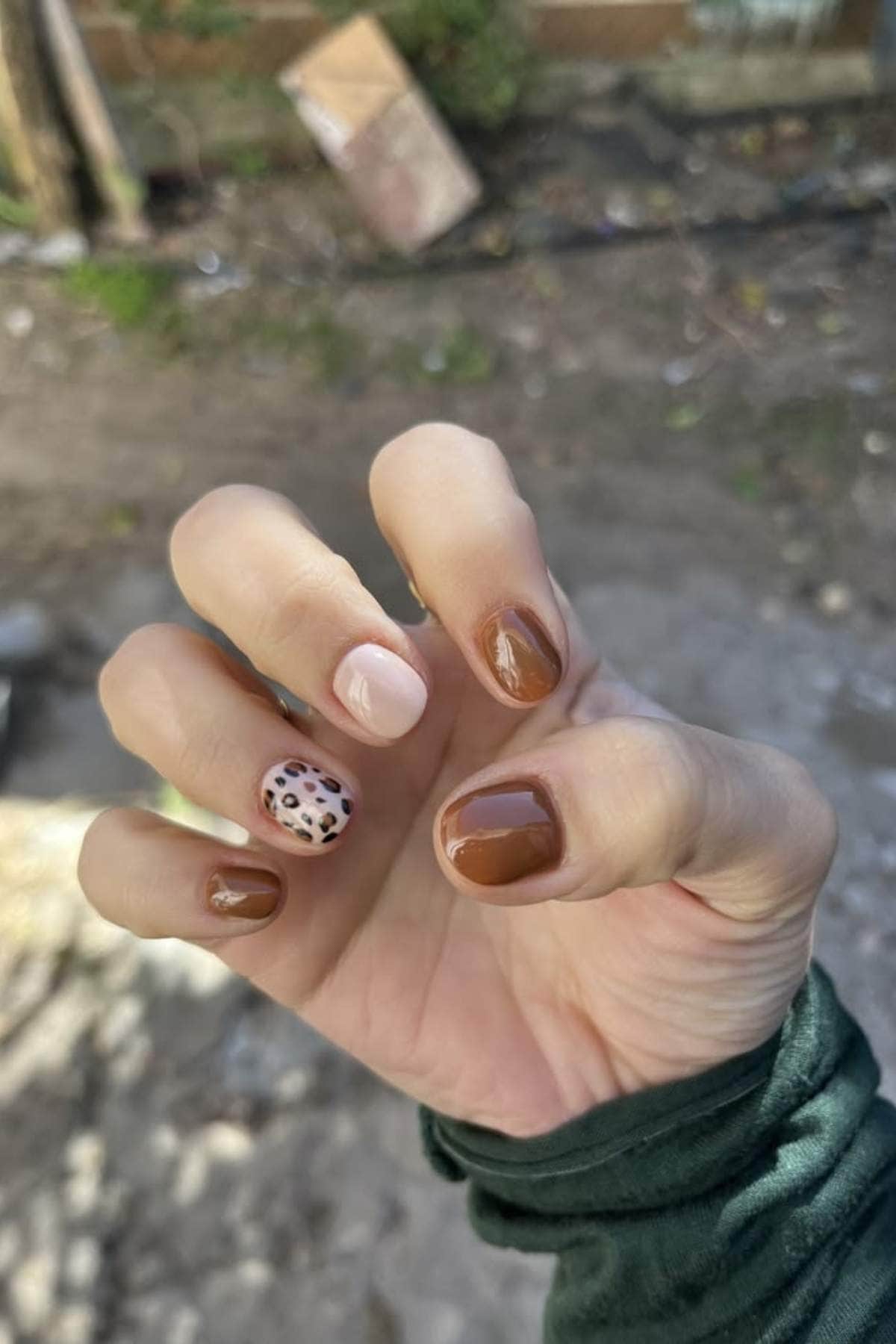 A hand with short, polished nails; three are brown, one is pale pink, and one features a leopard print design.