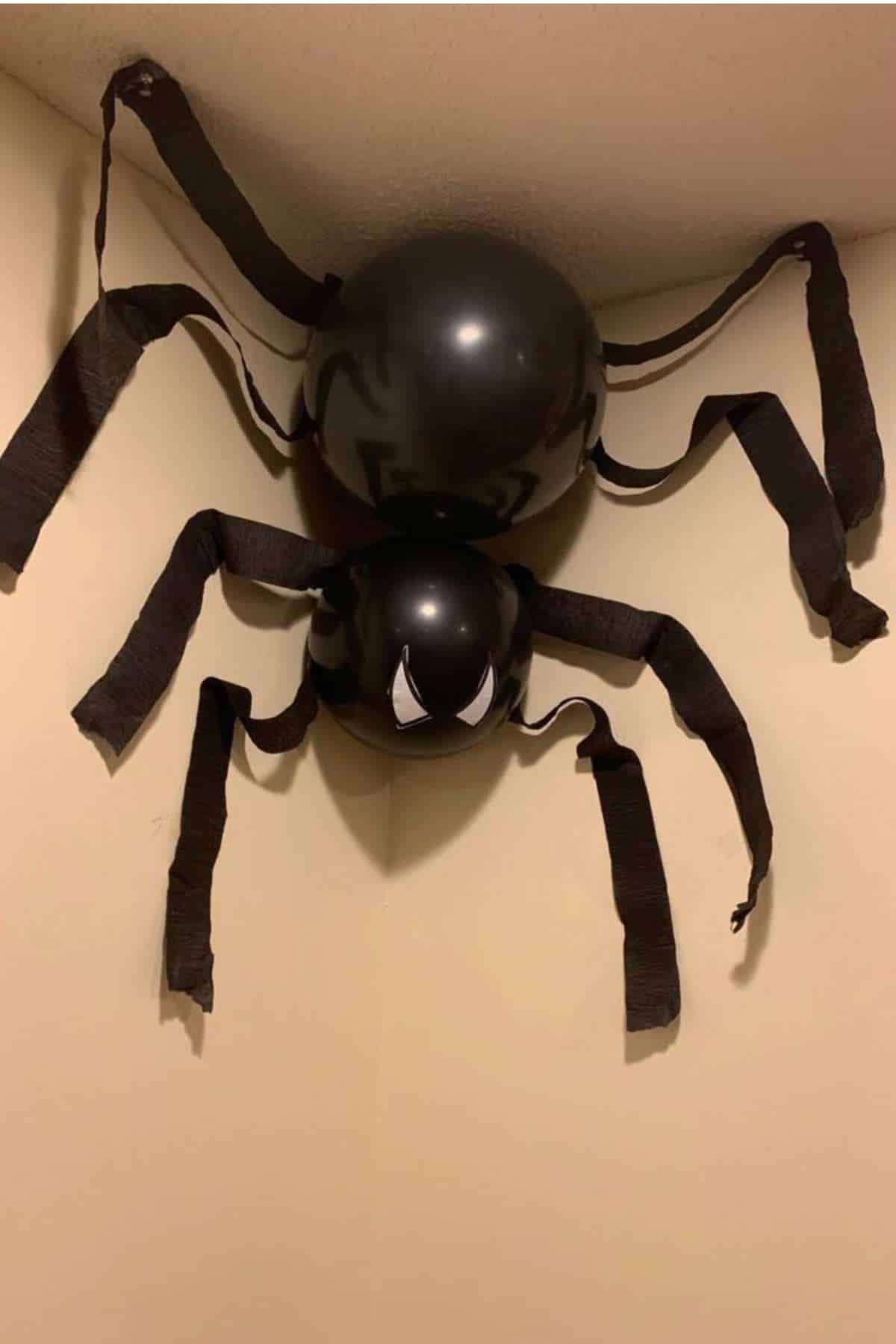 Large spider decoration made from two black balloons and black streamers is attached to the corner of a beige room ceiling.