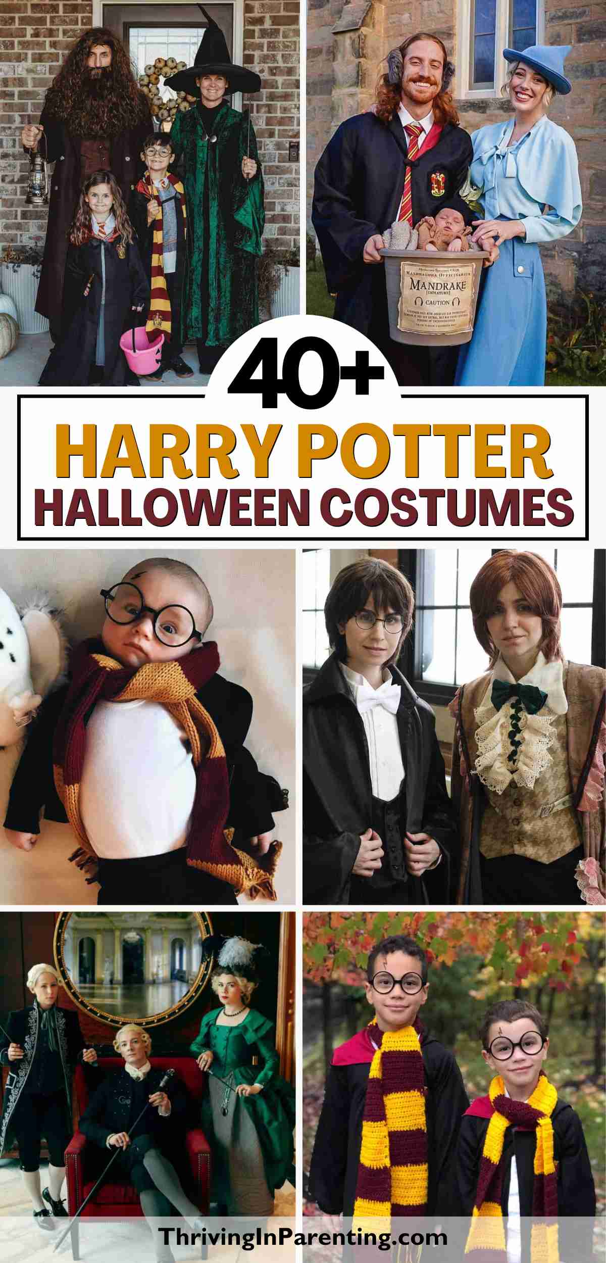 Collage of people dressed in creative Harry Potter Halloween costume ideas, portraying characters like Hagrid, Hermione, Dumbledore, and Harry Potter.