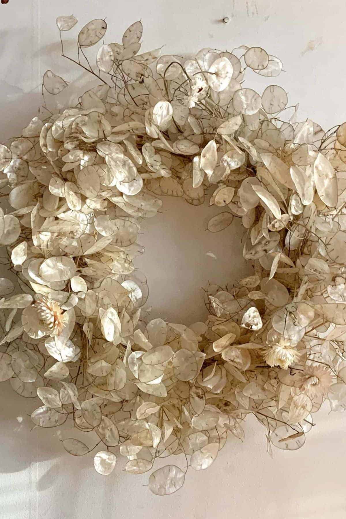 A wreath made of translucent dried lunaria seed pods arranged in a circular shape, hanging on a plain white wall.