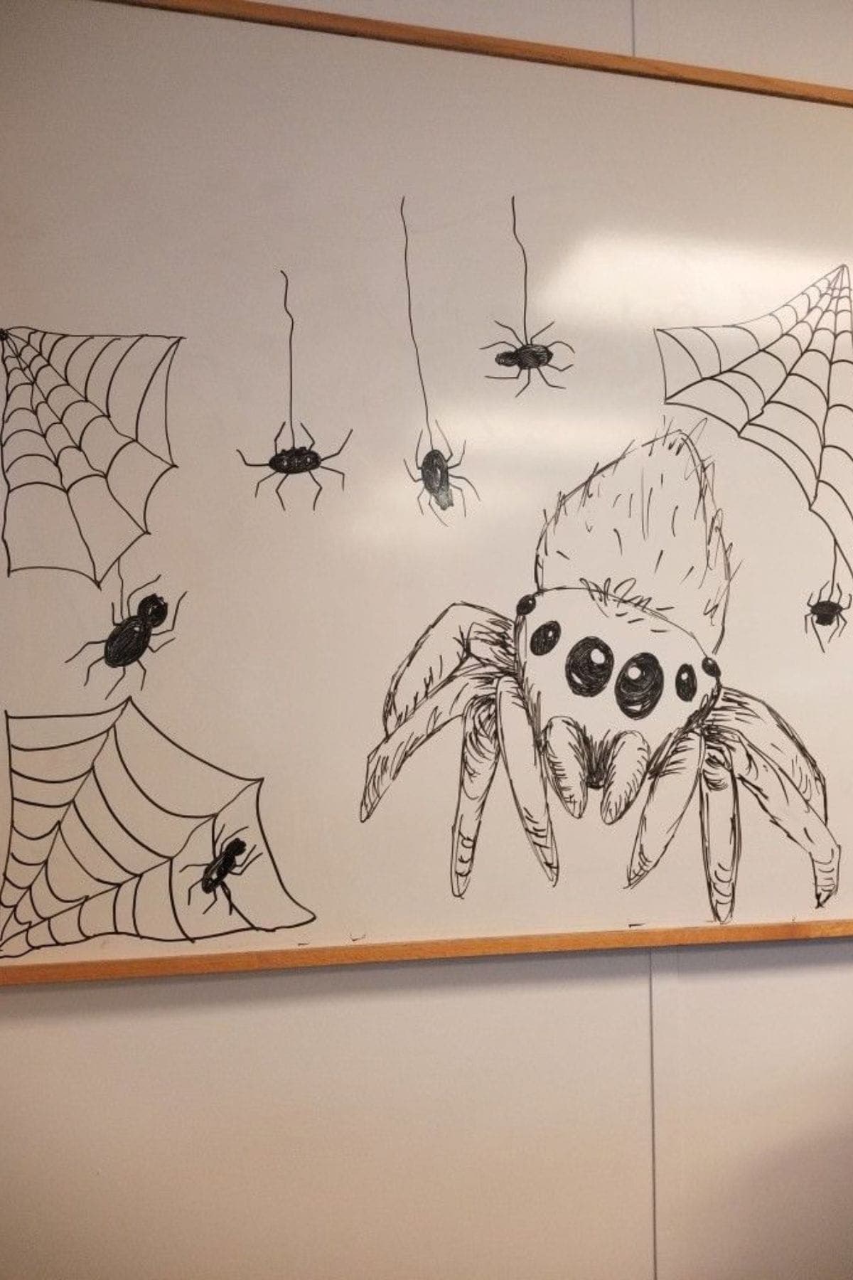 Black marker drawing on a whiteboard shows a large spider, four smaller spiders hanging on webs, and two spider webs with spiders on them.