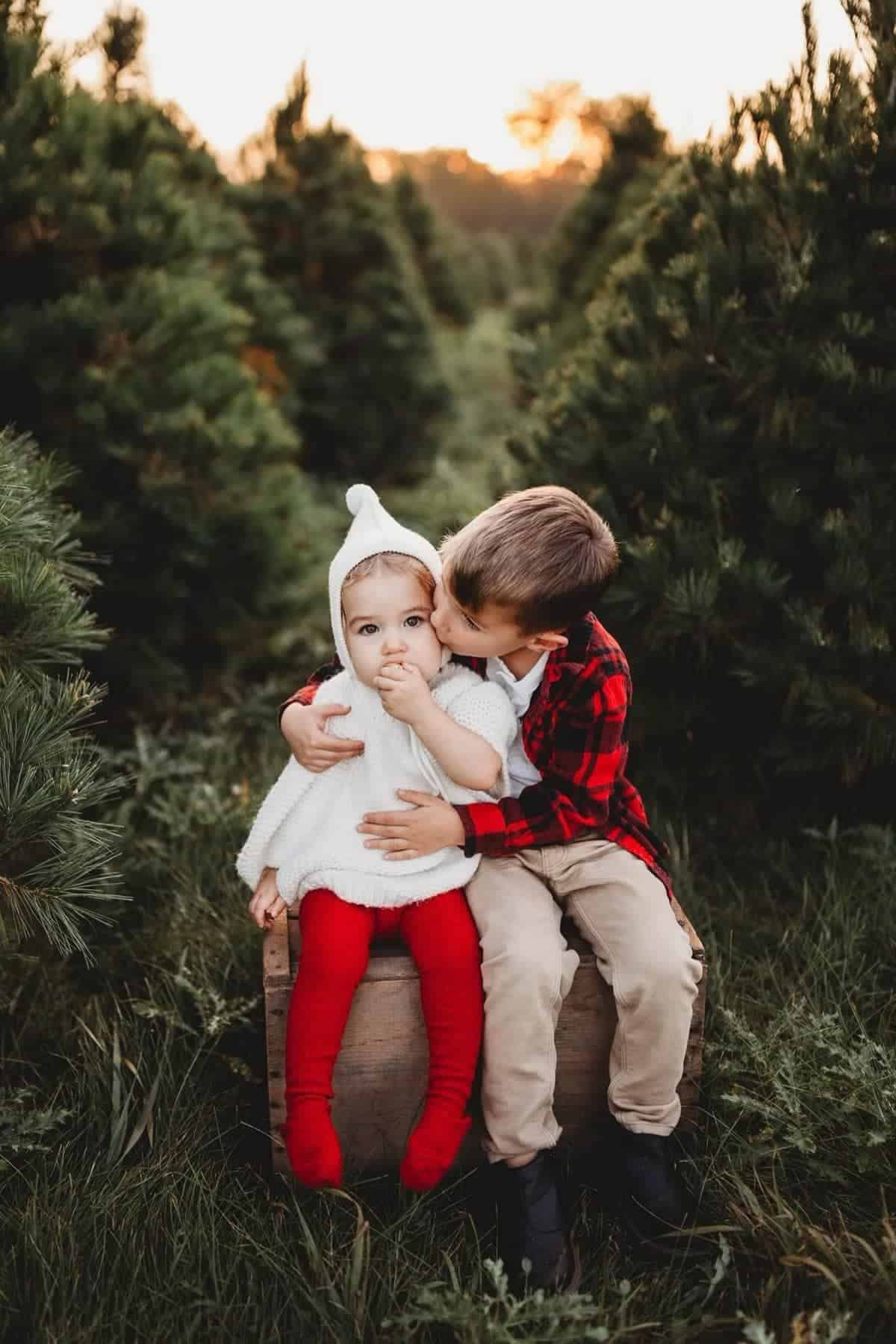 A young boy kisses a toddler on the cheek as they sit on a wooden box between rows of pine trees outdoors.