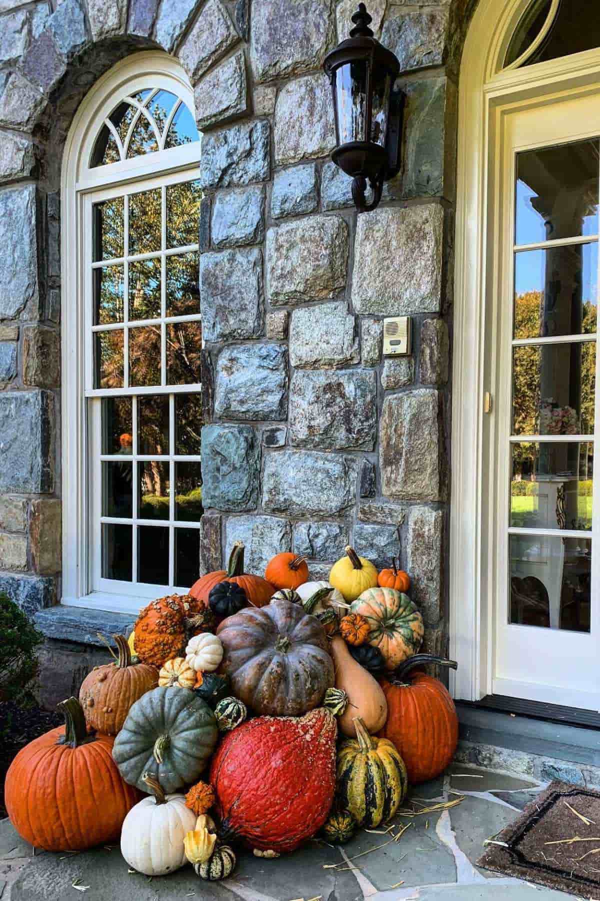 A collection of various pumpkins and gourds arranged on a stone porch next to a house entrance.